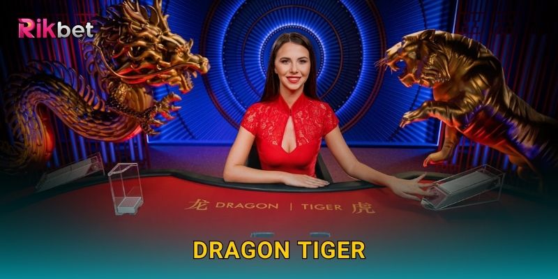 Dragon Tiger và Rikbet – Trò chơi đối kháng nhanh gọn hấp dẫn