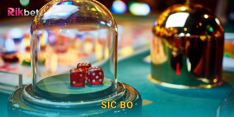 Sic Bo và Rikbet – Trò chơi xúc xắc Á Đông đầy may mắn
